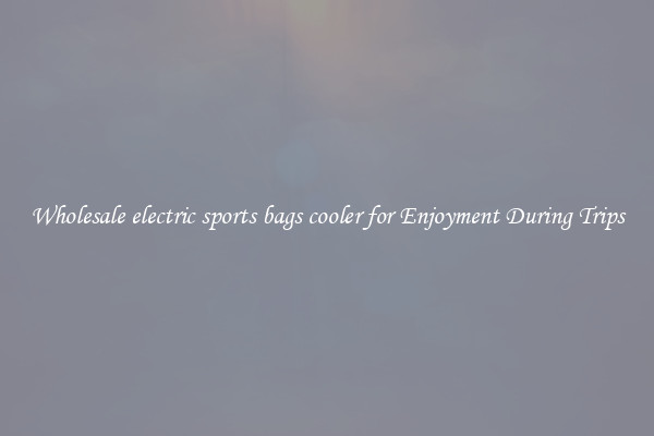 Wholesale electric sports bags cooler for Enjoyment During Trips