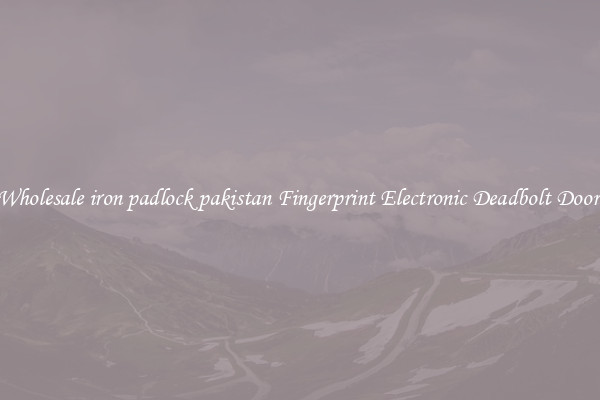 Wholesale iron padlock pakistan Fingerprint Electronic Deadbolt Door 