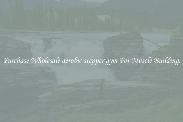 Purchase Wholesale aerobic stepper gym For Muscle Building.