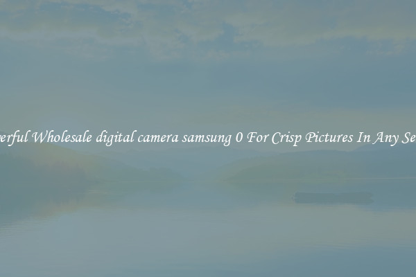Powerful Wholesale digital camera samsung 0 For Crisp Pictures In Any Setting