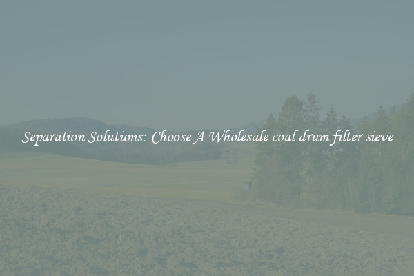 Separation Solutions: Choose A Wholesale coal drum filter sieve