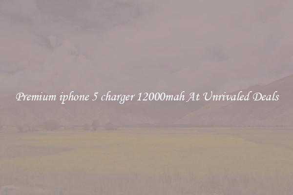 Premium iphone 5 charger 12000mah At Unrivaled Deals