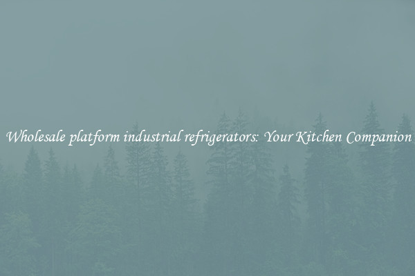 Wholesale platform industrial refrigerators: Your Kitchen Companion