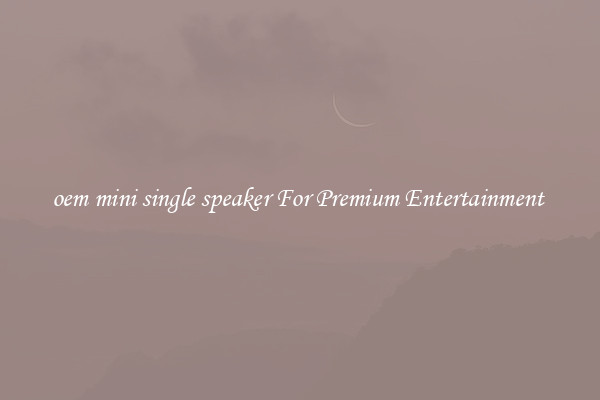oem mini single speaker For Premium Entertainment 