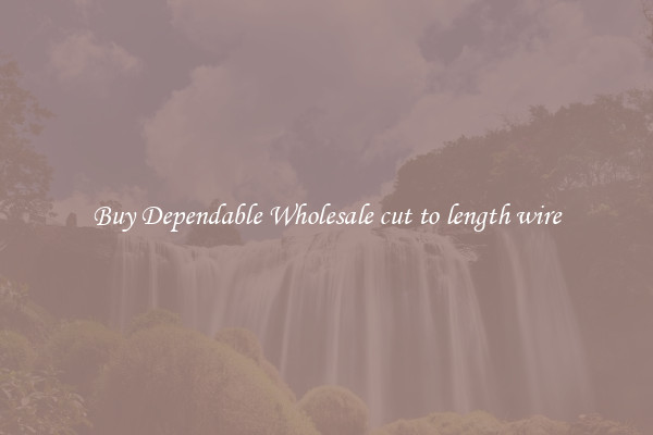 Buy Dependable Wholesale cut to length wire
