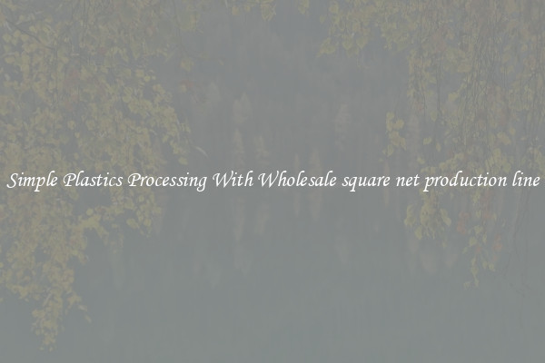 Simple Plastics Processing With Wholesale square net production line