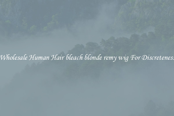 Wholesale Human Hair bleach blonde remy wig For Discreteness