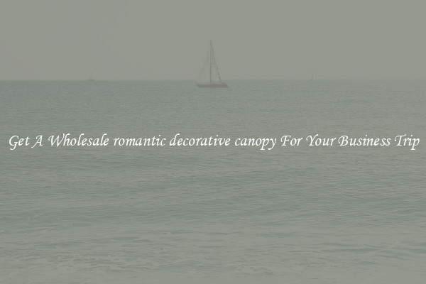 Get A Wholesale romantic decorative canopy For Your Business Trip