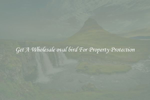 Get A Wholesale oval bird For Property Protection