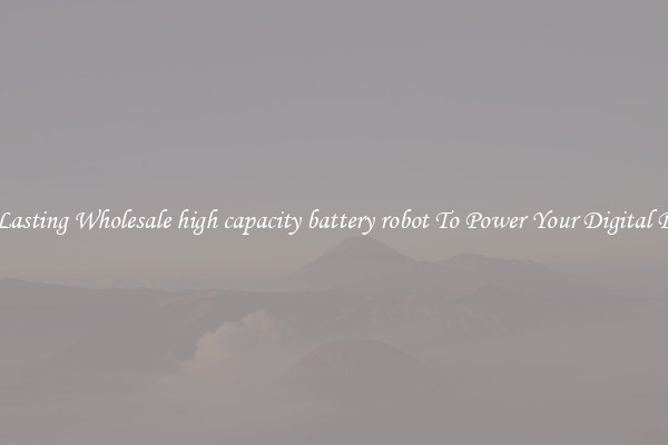 Long Lasting Wholesale high capacity battery robot To Power Your Digital Devices