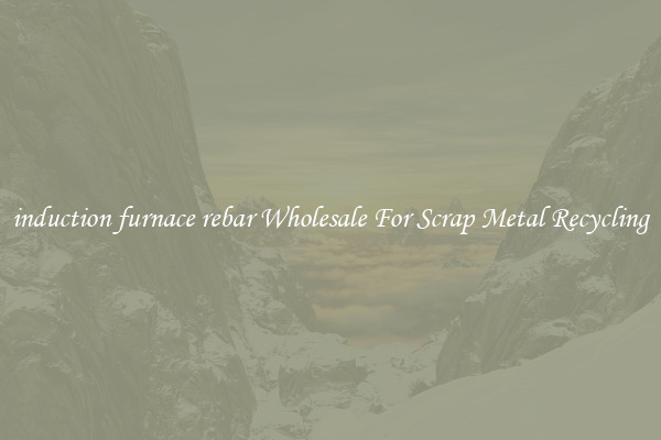 induction furnace rebar Wholesale For Scrap Metal Recycling