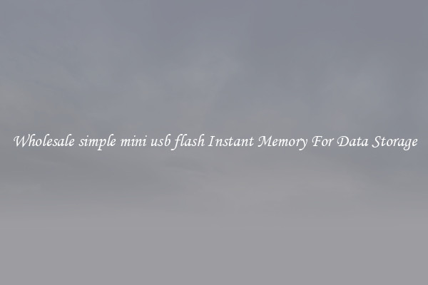 Wholesale simple mini usb flash Instant Memory For Data Storage