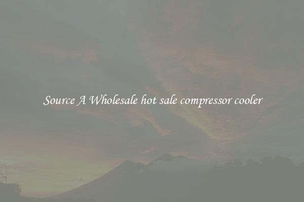 Source A Wholesale hot sale compressor cooler
