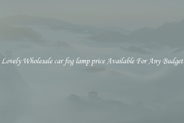 Lovely Wholesale car fog lamp price Available For Any Budget