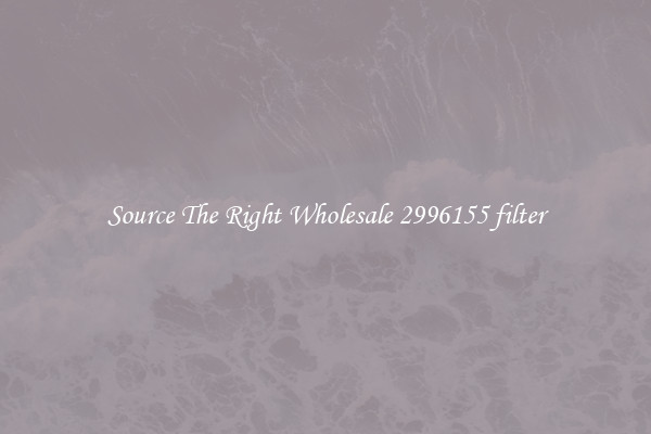 Source The Right Wholesale 2996155 filter