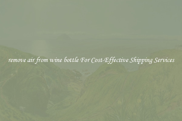 remove air from wine bottle For Cost-Effective Shipping Services