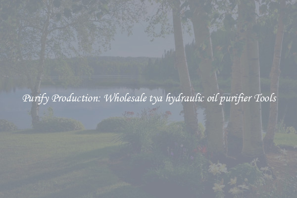 Purify Production: Wholesale tya hydraulic oil purifier Tools