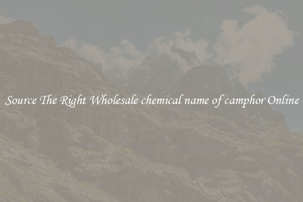 Source The Right Wholesale chemical name of camphor Online