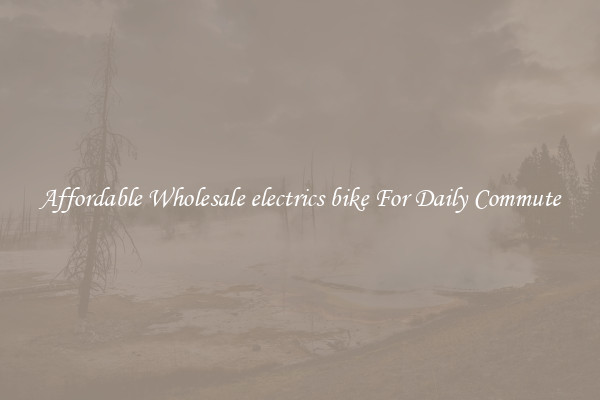 Affordable Wholesale electrics bike For Daily Commute