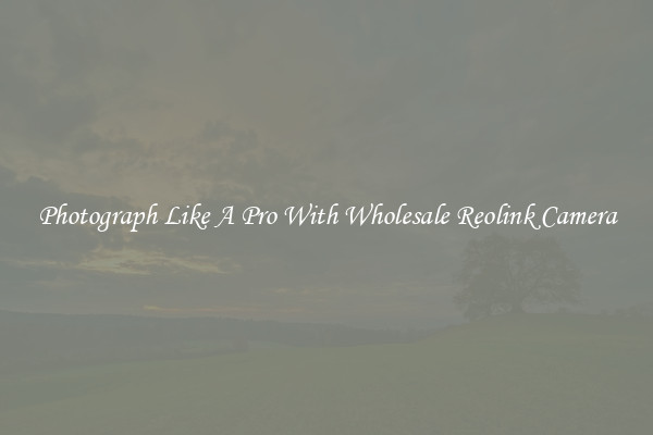 Photograph Like A Pro With Wholesale Reolink Camera