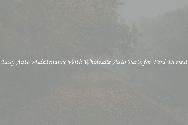 Easy Auto Maintenance With Wholesale Auto Parts for Ford Everest
