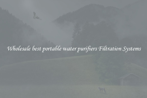Wholesale best portable water purifiers Filtration Systems