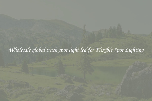Wholesale global track spot light led for Flexible Spot Lighting