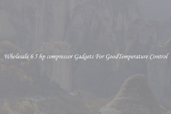 Wholesale 6 5 hp compressor Gadgets For GoodTemperature Control